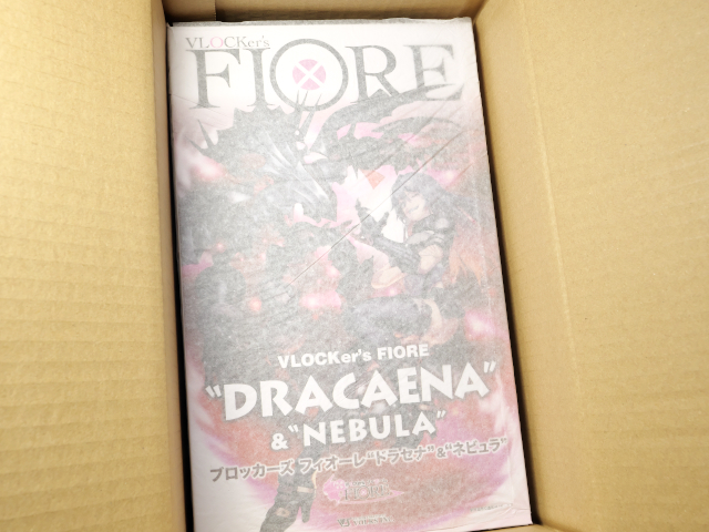 ブロッカーズ FIORE ドラセナ&ネビュ