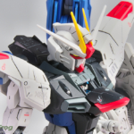 MG フリーダムガンダム Ver.2.0